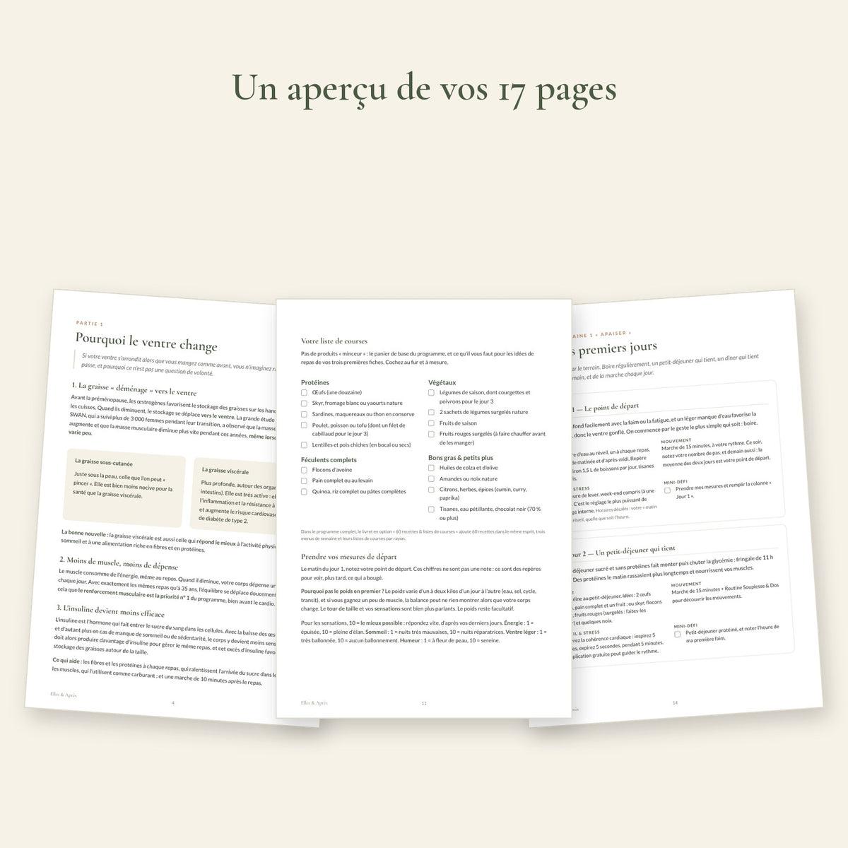 Aperçu des pages du guide express : pourquoi le ventre change, liste de courses, vos trois premiers jours
