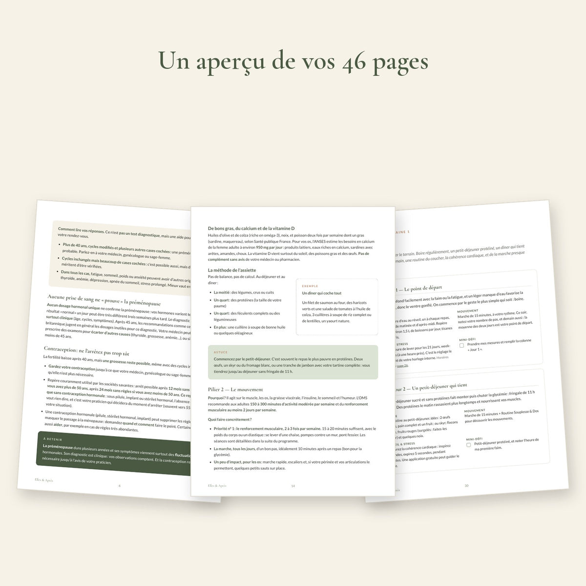Aperçu des pages du programme