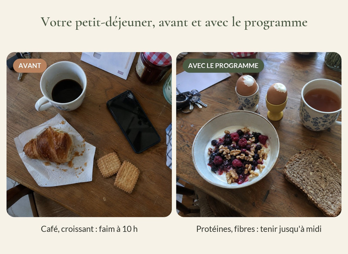 Petit-déjeuner avant et avec le programme